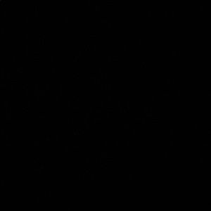 Meet your Posher, Eva